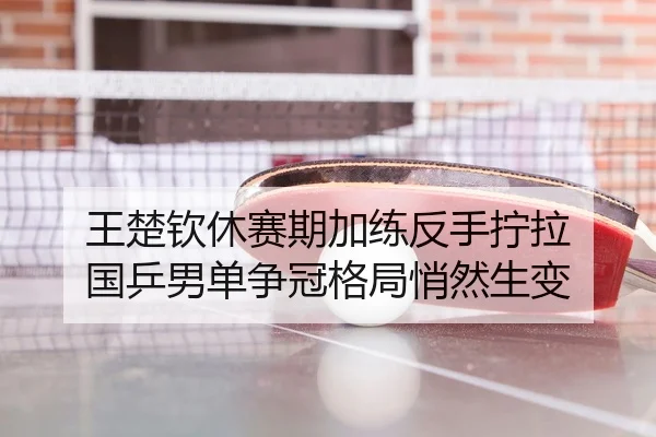 王楚钦休赛期加练反手拧拉 国乒男单争冠格局悄然生变