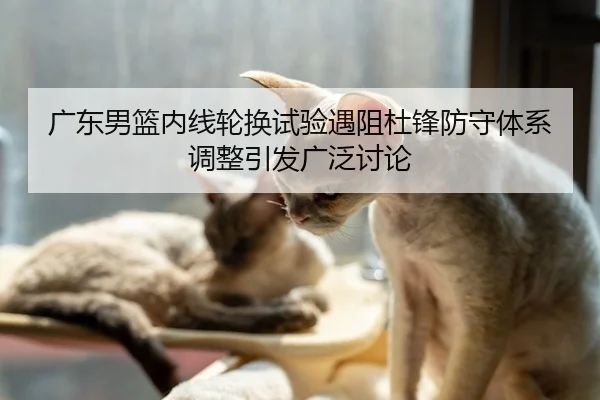 广东男篮内线轮换试验遇阻杜锋防守体系调整引发广泛讨论