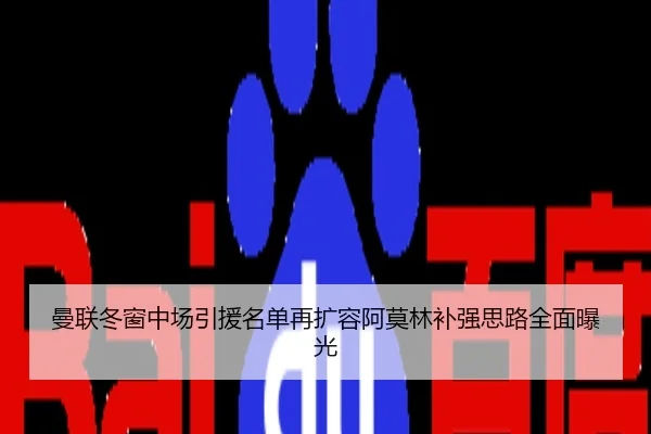 曼联冬窗中场引援名单再扩容阿莫林补强思路全面曝光